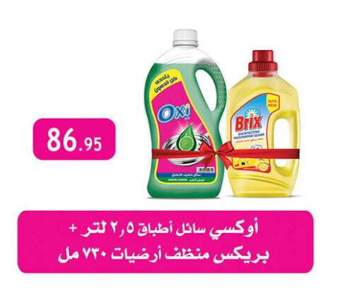 General Cleaner available at Al Rayah Market   in Egypt - Cairo