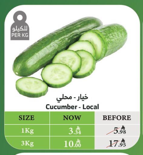 الخضروات الطازجة in الراية, المملكة العربية السعودية Offers - المملكة العربية السعودية خيار available at الراية in مملكة العربية السعودية, السعودية, سعودية - القنفذة