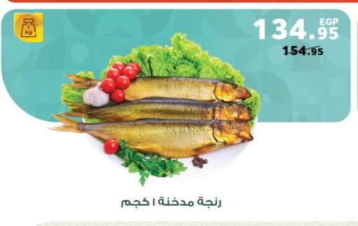 available at بنده in Egypt - القاهرة