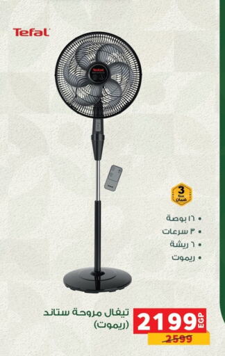 TEFAL Fan available at Panda  in Egypt - Cairo