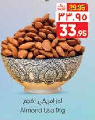 available at City Flower in KSA, Saudi Arabia, Saudi - Hail
