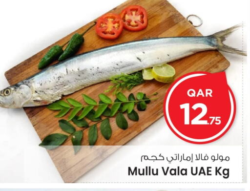 available at مارك & سيف in قطر - الريان