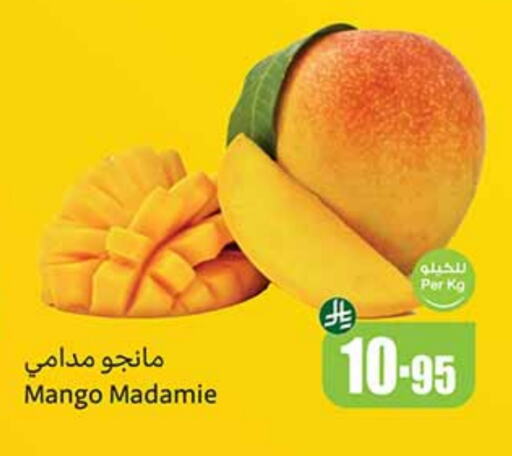 Mangoes available at Othaim Markets in KSA, Saudi Arabia, Saudi - Najran