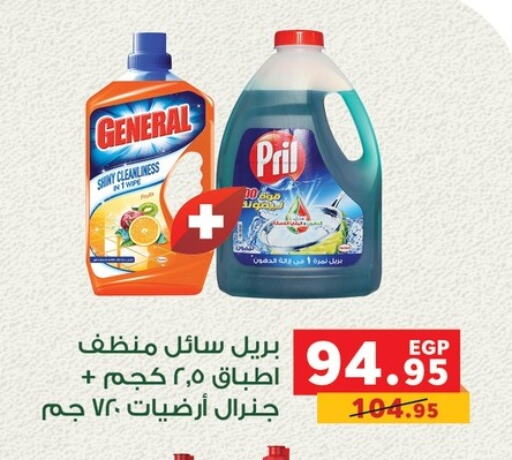 PRIL General Cleaner available at Panda  in Egypt - Cairo