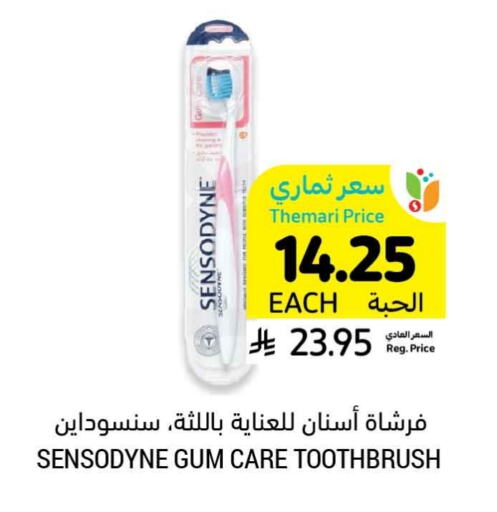 Dental Care in Tamimi Market, Saudi Arabia Offers - Saudi Arabia SENSODYNE Toothbrush available at Tamimi Market in KSA, Saudi Arabia, Saudi - Abha