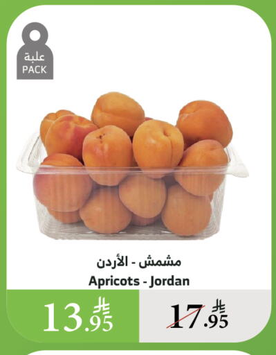 فاكهة طازجة in الراية, المملكة العربية السعودية Offers - المملكة العربية السعودية from Jordan available at الراية in مملكة العربية السعودية, السعودية, سعودية - الطائف