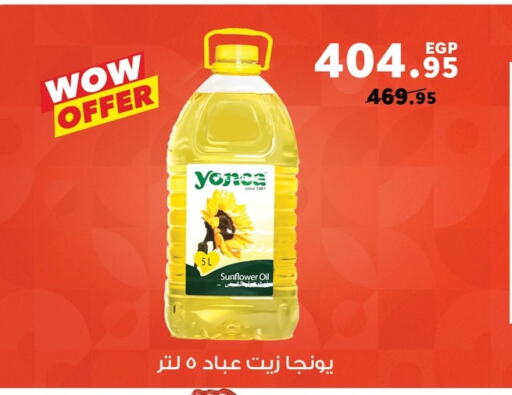 Sunflower Oil available at Panda  in Egypt - Cairo