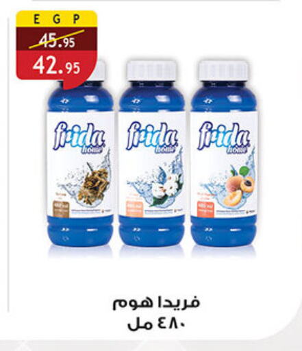 General Cleaner available at Al Rayah Market   in Egypt - Cairo