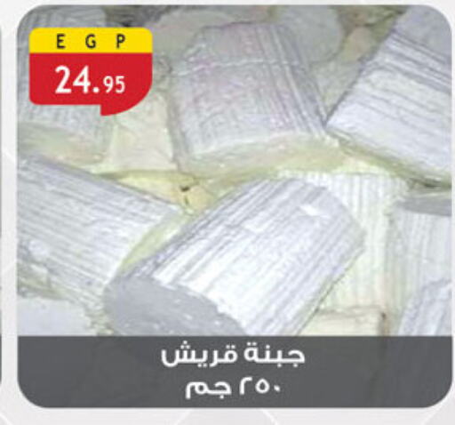 available at Al Rayah Market   in Egypt - Cairo