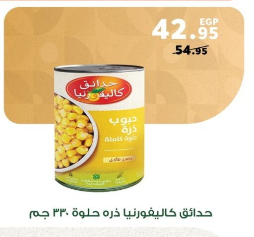 Canned & Packeted in Panda , Egypt Offers - Egypt CALIFORNIA available at Panda in Egypt - Cairo