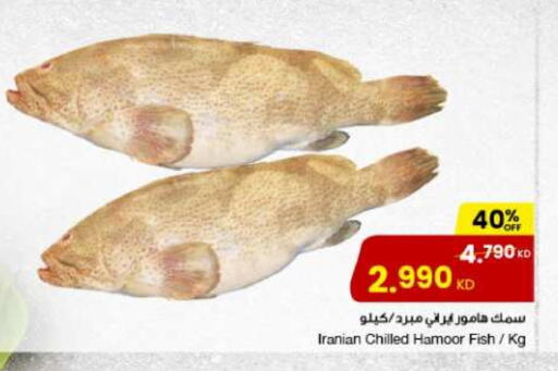 available at The Sultan Center in Kuwait - Ahmadi Governorate