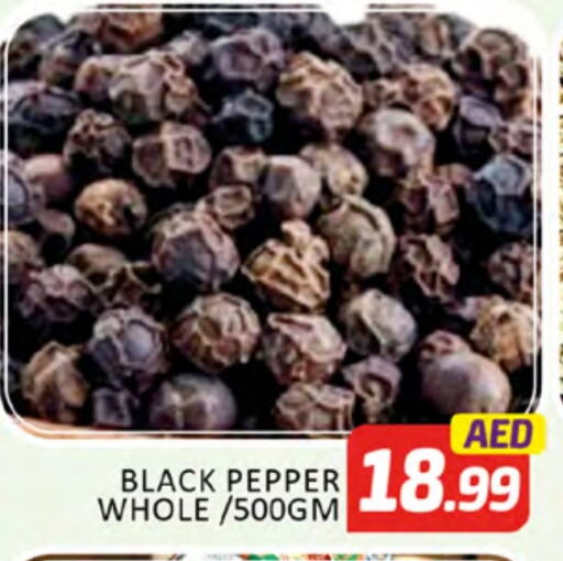 Salts, Spices & Paste in Al Madina , UAE Offers - United Arab Emirates Spices available at Al Madina in UAE - Dubai
