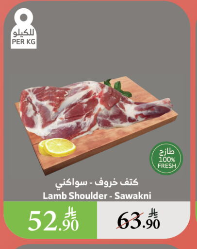 اللحوم الطازجة والمبردة in الراية, المملكة العربية السعودية Offers - المملكة العربية السعودية لحم الضأن / الغنم available at الراية in مملكة العربية السعودية, السعودية, سعودية - القنفذة