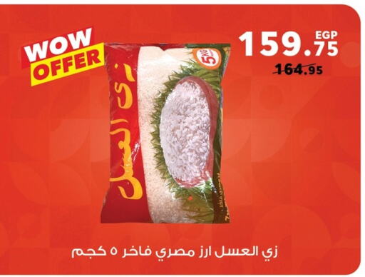 Calrose Rice available at Panda  in Egypt - Cairo