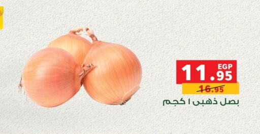 Fresh Vegetables in Panda , Egypt Offers - Egypt Onion available at Panda in Egypt - Cairo