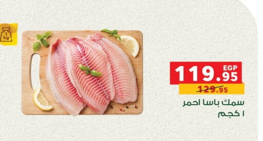 available at Panda  in Egypt - Cairo