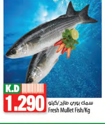Mango available at Mango Hypermarket  in Kuwait - Ahmadi Governorate