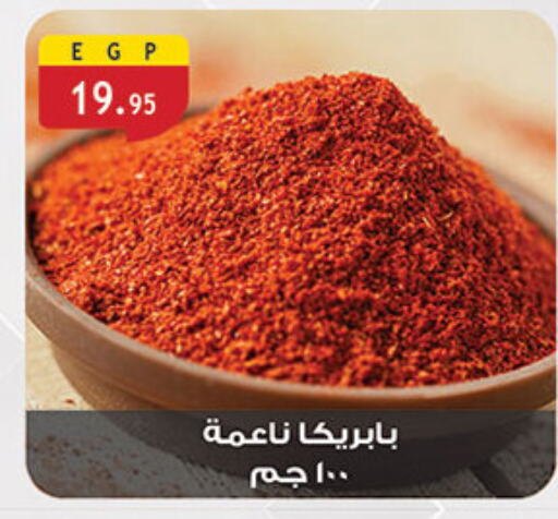 Salts, Spices & Paste in Al Rayah Market , Egypt Offers - Egypt Spices available at Al Rayah Market in Egypt - Cairo