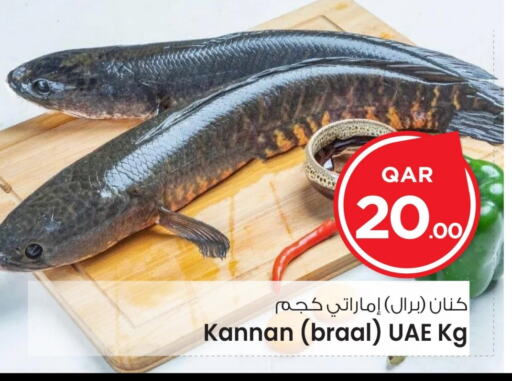 available at مارك & سيف in قطر - الريان