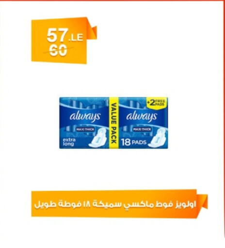 Feminine Hygiene in Hyper Meeza Egypt , Egypt Offers - Egypt ALWAYS available at Hyper Meeza Egypt in Egypt - Cairo