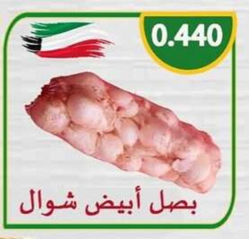Onion available at  Al Adan And Al Qusor Co-Op in Kuwait - Ahmadi Governorate