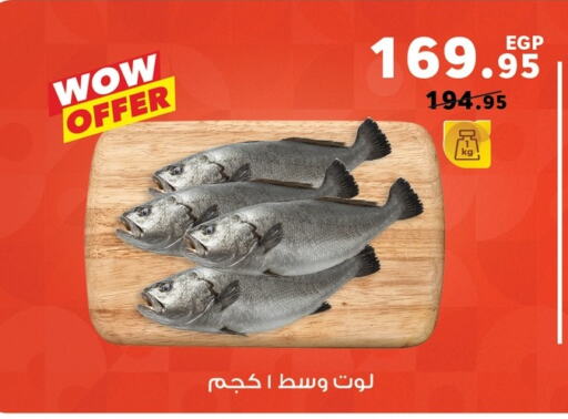available at Panda  in Egypt - Cairo