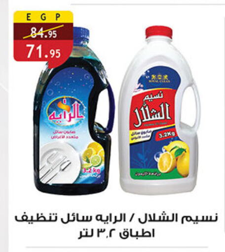 available at الرايه  ماركت in Egypt - القاهرة