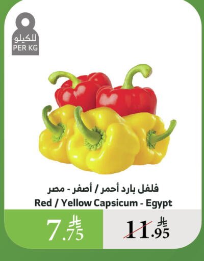الخضروات الطازجة in الراية, المملكة العربية السعودية Offers - المملكة العربية السعودية فلفل / فليفلة from Egypt available at الراية in مملكة العربية السعودية, السعودية, سعودية - القنفذة