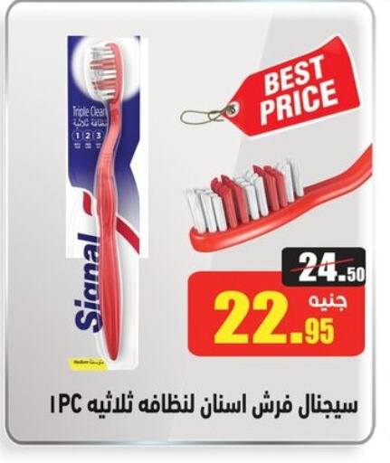 SIGNAL Toothbrush available at Othaim Market   in Egypt - Cairo