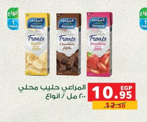 المراعي حليب بنكهات available at بنده in Egypt - القاهرة