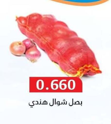 Onion available at Al Masayel co-op  in Kuwait - Ahmadi Governorate