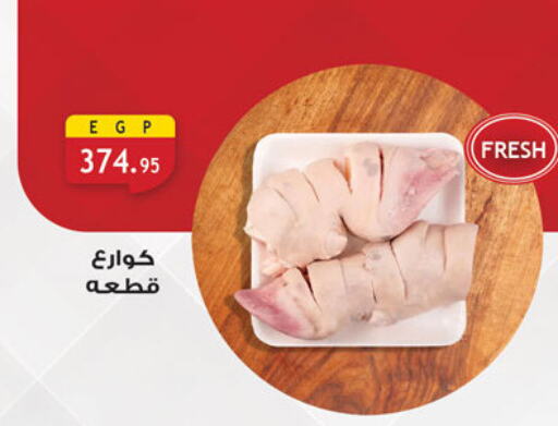 available at Al Rayah Market   in Egypt - Cairo