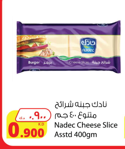 نادك جبنة شرائح available at شركة المنتجات الزراعية الغذائية in الكويت - محافظة الأحمدي