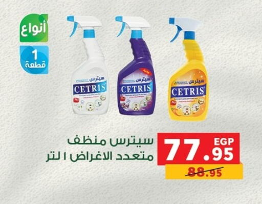 General Cleaner available at Panda  in Egypt - Cairo