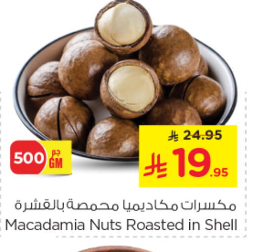 available at نستو in مملكة العربية السعودية, السعودية, سعودية - الجبيل‎