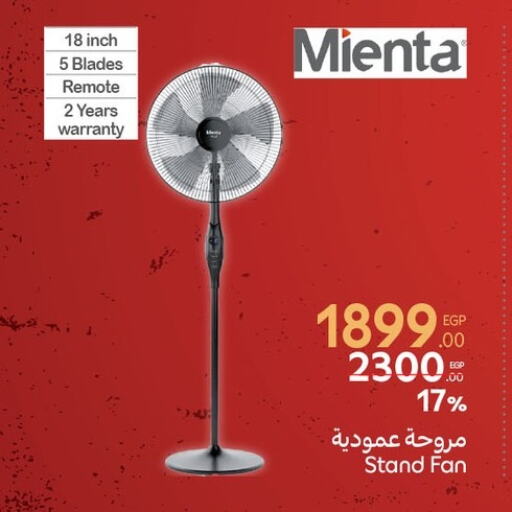 Fan available at Carrefour  in Egypt - Cairo