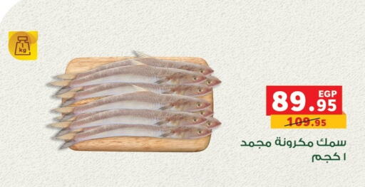 Fresh Fish in Panda , Egypt Offers - Egypt available at Panda in Egypt - Cairo
