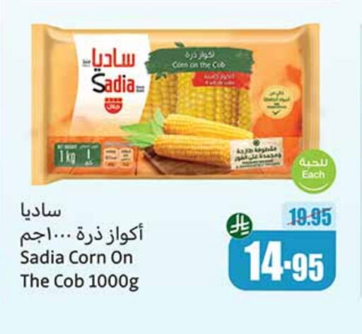 فواكه وخضار مجمدة in أسواق عبد الله العثيم, المملكة العربية السعودية Offers - المملكة العربية السعودية زيت الزنجبيل available at أسواق عبد الله العثيم in مملكة العربية السعودية, السعودية, سعودية - القنفذة