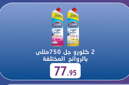 CLOROX General Cleaner available at Al Rayah Market   in Egypt - Cairo