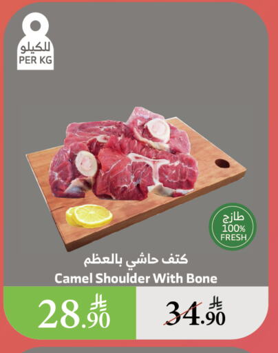اللحوم الطازجة والمبردة in الراية, المملكة العربية السعودية Offers - المملكة العربية السعودية لحم حاشي available at الراية in مملكة العربية السعودية, السعودية, سعودية - القنفذة