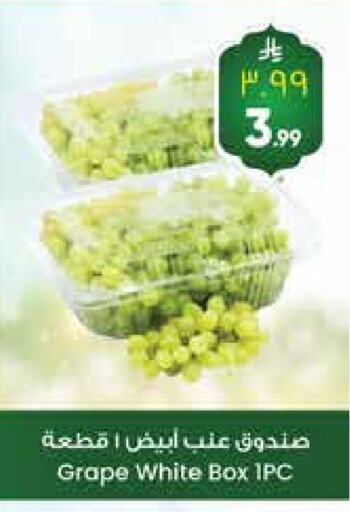 Fresh Fruits in City Flower, Saudi Arabia Offers - Saudi Arabia Grapes available at City Flower in KSA, Saudi Arabia, Saudi - Jubail