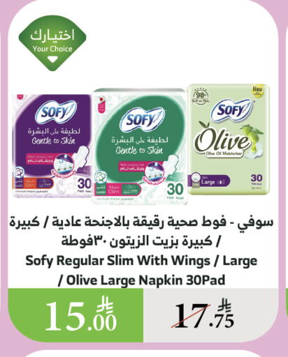 النظافة الشخصية النسائية in الراية, المملكة العربية السعودية Offers - المملكة العربية السعودية صوفي available at الراية in مملكة العربية السعودية, السعودية, سعودية - القنفذة
