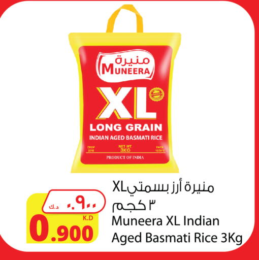 Basmati / Biryani Rice available at Agricultural Food Products Co. in Kuwait - Ahmadi Governorate