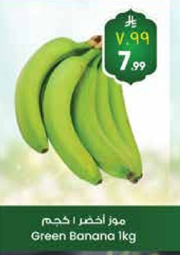 Fresh Fruits in City Flower, Saudi Arabia Offers - Saudi Arabia Banana Green available at City Flower in KSA, Saudi Arabia, Saudi - Jubail