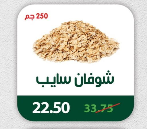 Oats available at Panda  in Egypt - Cairo