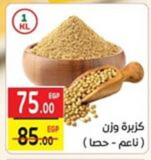 Salts, Spices & Paste in Safeer market, Egypt Offers - Egypt Dried Herbs available at Safeer market in Egypt - Cairo
