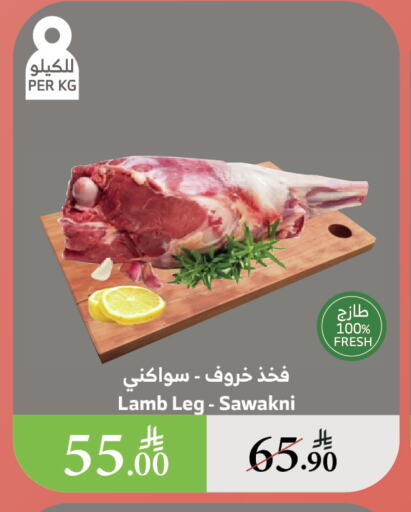 اللحوم الطازجة والمبردة in الراية, المملكة العربية السعودية Offers - المملكة العربية السعودية لحم الضأن / الغنم available at الراية in مملكة العربية السعودية, السعودية, سعودية - القنفذة