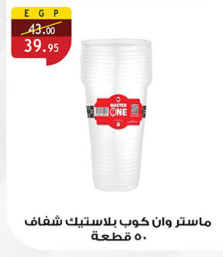 Disposables in Al Rayah Market , Egypt Offers - Egypt available at Al Rayah Market in Egypt - Cairo