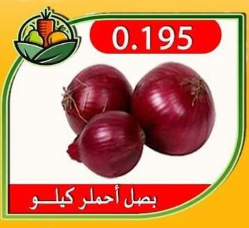 Onion available at  Al Adan And Al Qusor Co-Op in Kuwait - Ahmadi Governorate