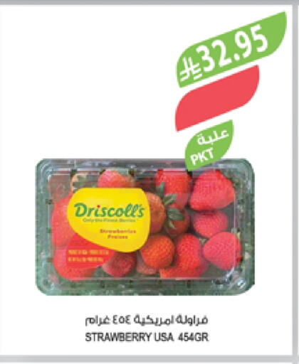 فاكهة طازجة in المزرعة, المملكة العربية السعودية Offers - المملكة العربية السعودية توت available at المزرعة in مملكة العربية السعودية, السعودية, سعودية - عرعر